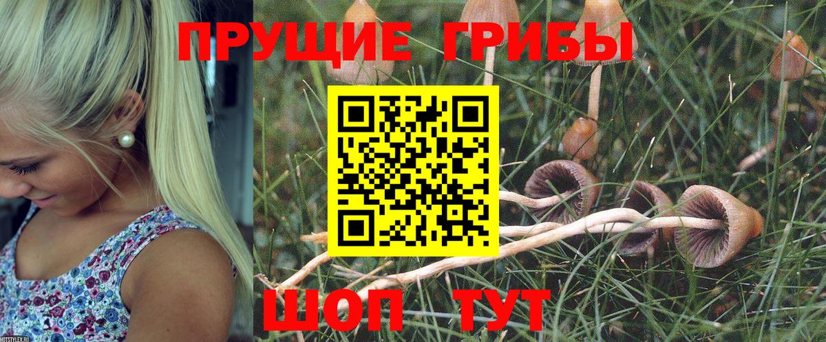 Галлюциногенные грибы Cubensis  Псилоцибиновые грибы мицелий  наркотики  Вход с VPN  Кызыл 
